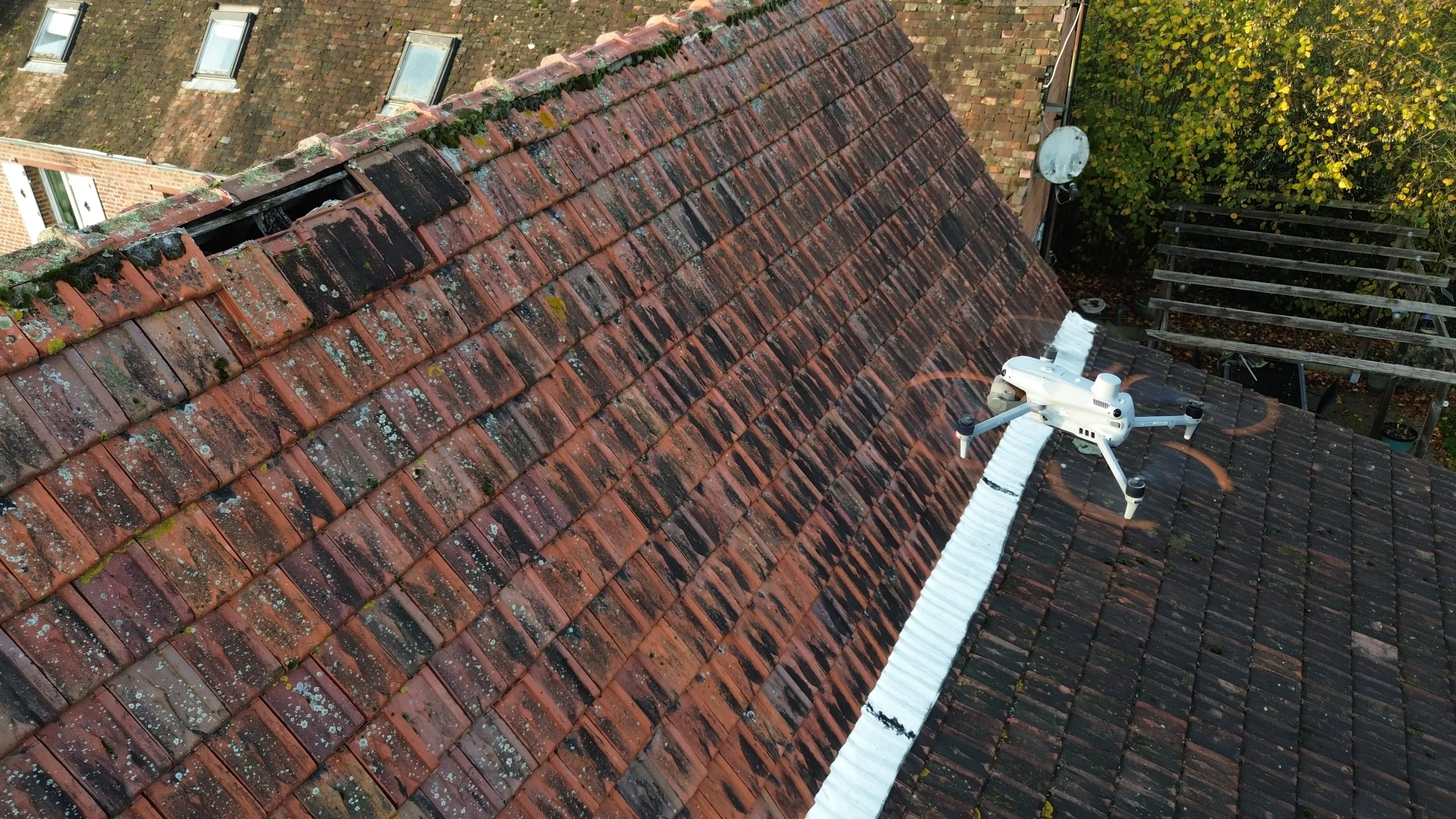 Inspection Background